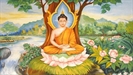 Cuộc đời Đức Phật (từ Đản sinh đến Niết bàn)